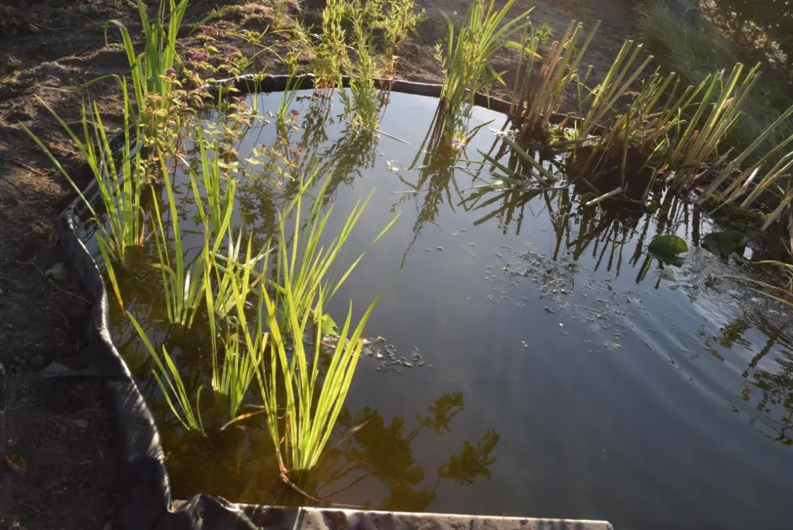 Ubbink Borderrand Borderfix 19Cmx15M-Brico Outlet