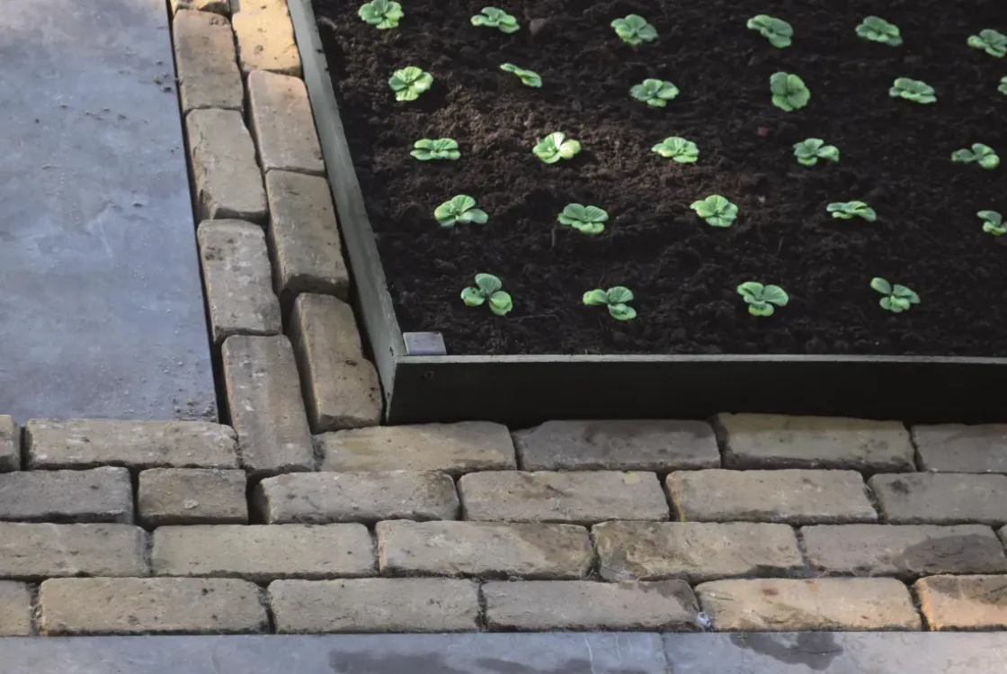 Ubbink Piketpaal Borderfix 38X3,6X3,8Cm-Brico Outlet