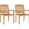 Vidaxl Tuinstoelen Stapelbaar 2 St Massief Teakhout-Brico New