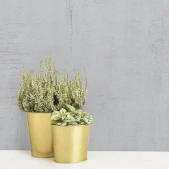 Vinylpapier Roma Lichgrijs Vob008048-Brico Best