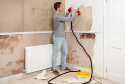 Wagner Behangafstomer Steamforce Eu-Brico Online