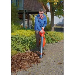 Brico Wolf Garten Elektrische Bladblazer 'Lbv2500E' 2600 W