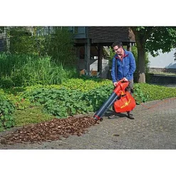 Brico Wolf Garten Elektrische Bladblazer 'Lbv2500E' 2600 W