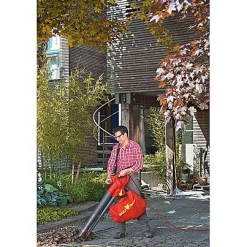 Brico Wolf Garten Elektrische Bladblazer 'Lbv2500E' 2600 W